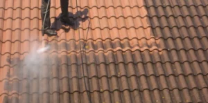 nettoyage-toiture 